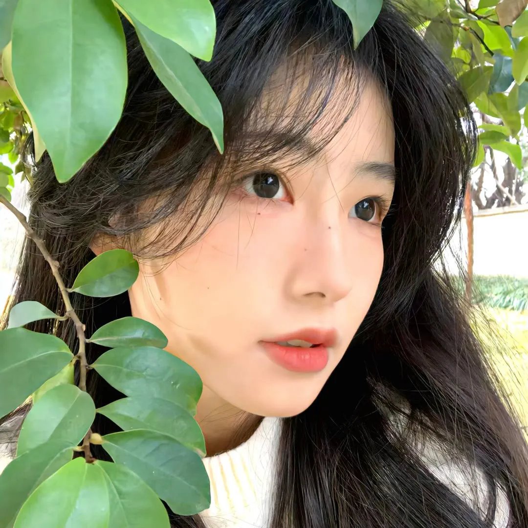 姐姐的私厨